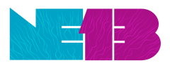 NE13_isologotipo_PNG